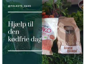 Hjælp til den kødfrie dag for børnefamilier