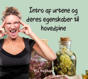 Info og egenskaber om urter til hovedpine.