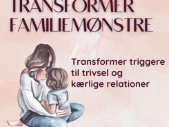 Transformer Familiemønstre Minikursus Marianne Thyboe