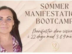 Manifestations bootcamp