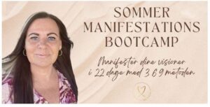 Manifestations Bootcamp
