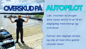 Overskud på autopilot