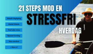 E-bog: 21 steps mod en stressfri hverdag