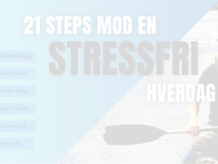 E-bog: 21 Steps mod en stressfri hverdag
