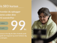 Basis SEO kursus - Teksten under din H2 og H3