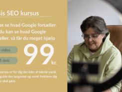 Basis Seo Kursus - Lad Google hjælpe dig